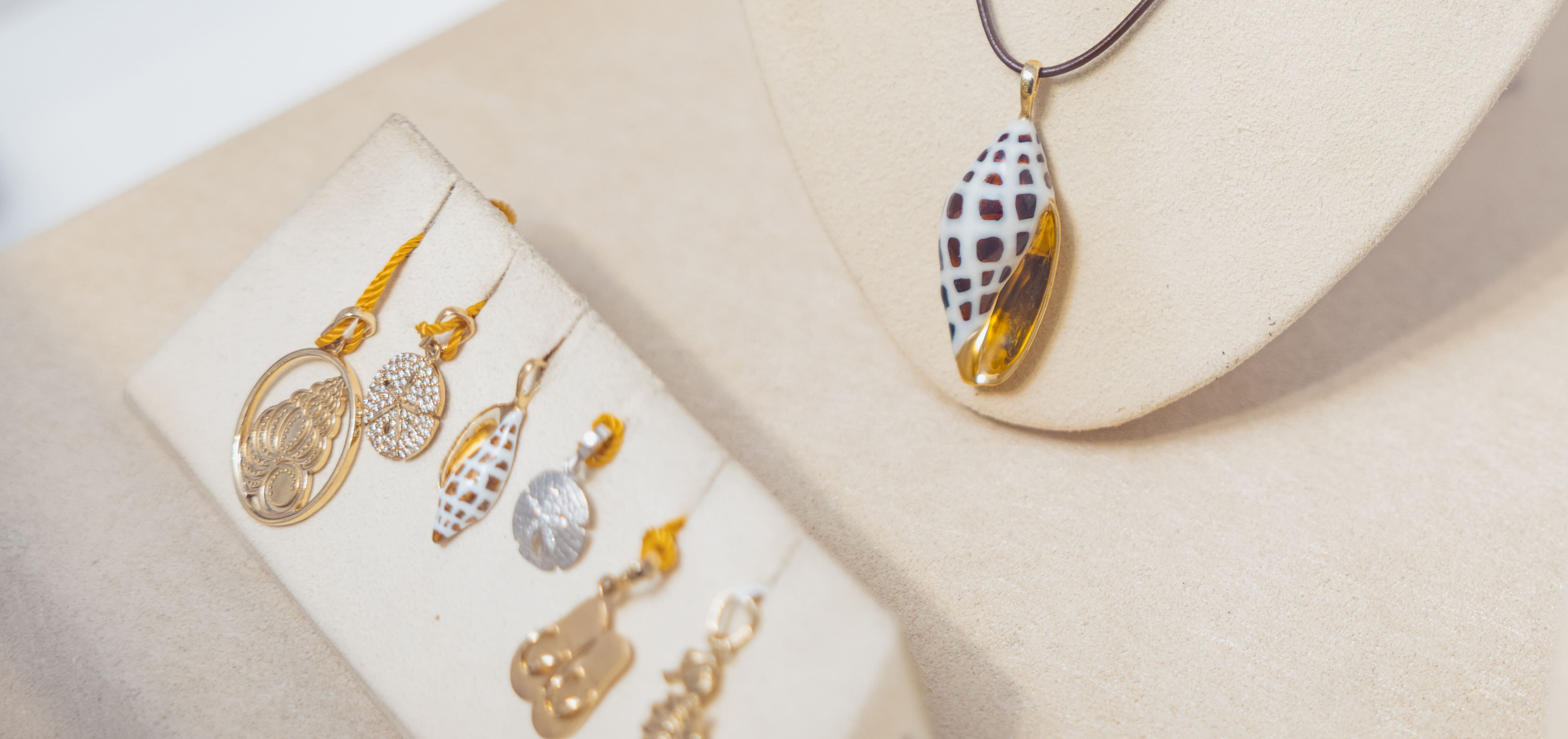 Bailey-Matthews National Shell Museum & Aquarium