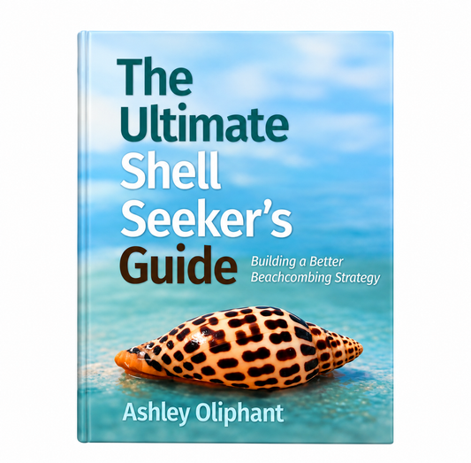 Ultimate Shell Seeker's Guide