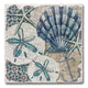Tide Pool Shells Absorbent Tumbled Tile Coaster 4pk