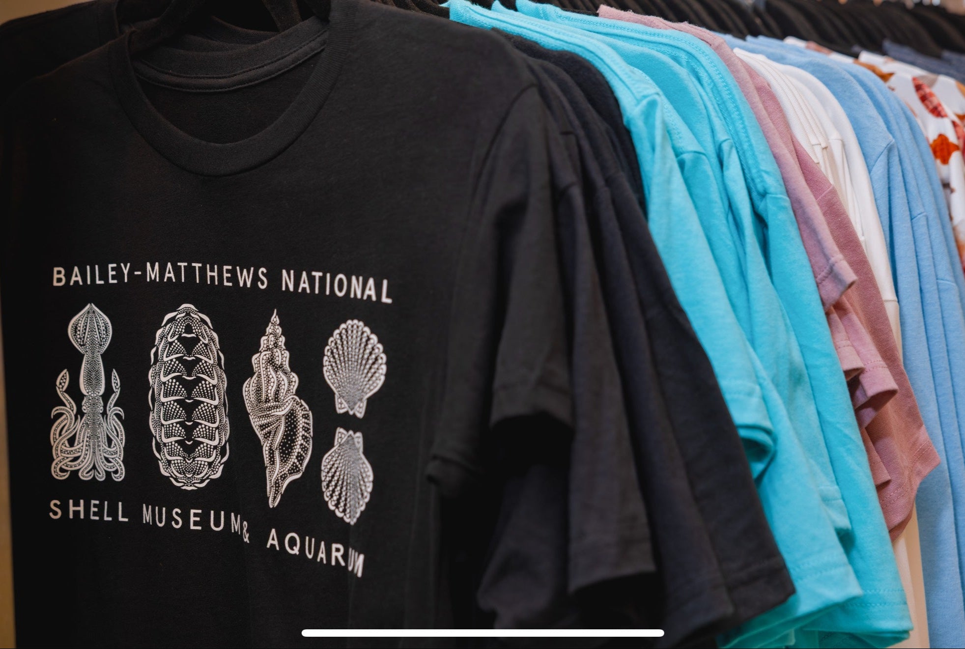 Bailey-Matthews National Shell Museum & Aquarium
