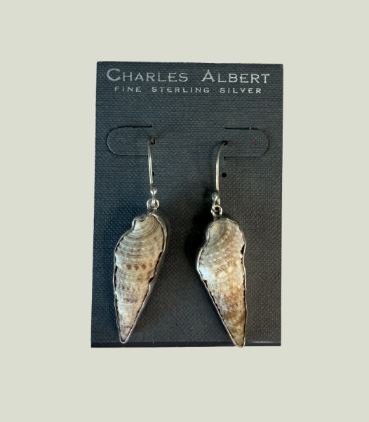 Charles Albert Cerith Sterling Silver Earrings