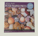 All the Shells Puzzle