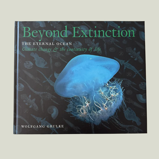 Beyond Extinction: The Eternal Ocean