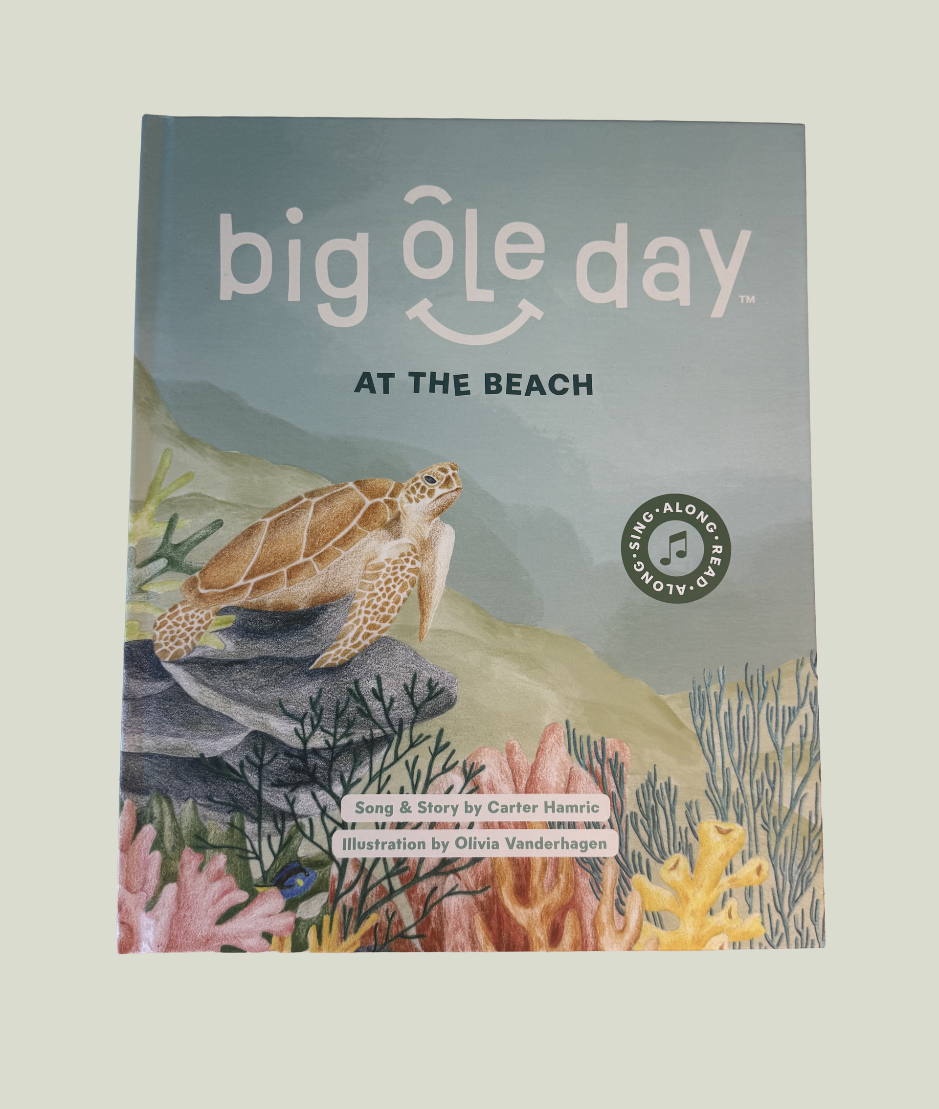 Big Ole Day at the Beach Singalong Musical Interactive Book