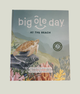 Big Ole Day at the Beach Singalong Musical Interactive Book