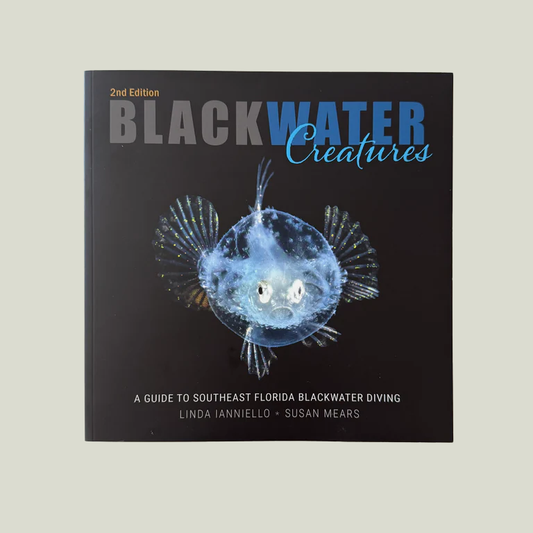 Blackwater Creatures, A Guide to Southeast Florida Blackwater Diving