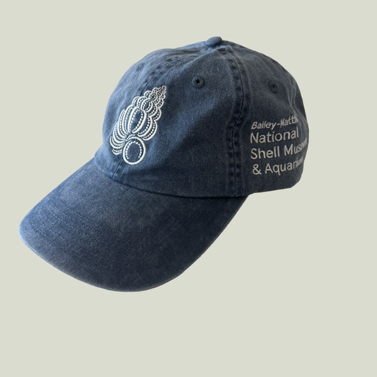 Museum Logo Ball Cap