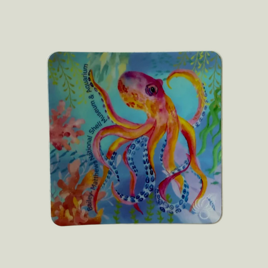 Colorful Octopus Sticker