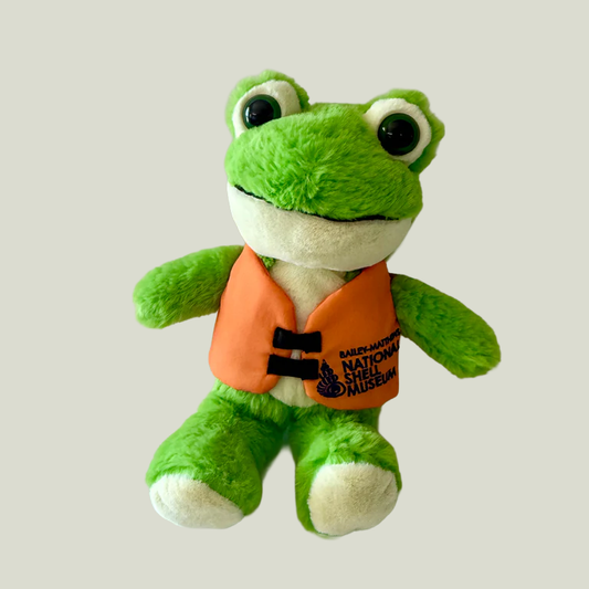 Frog in Life Jacket