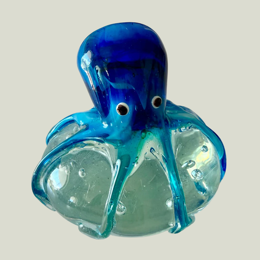 Octopus On Flat Rock Glass