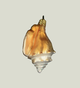 Golden Shell Ornament