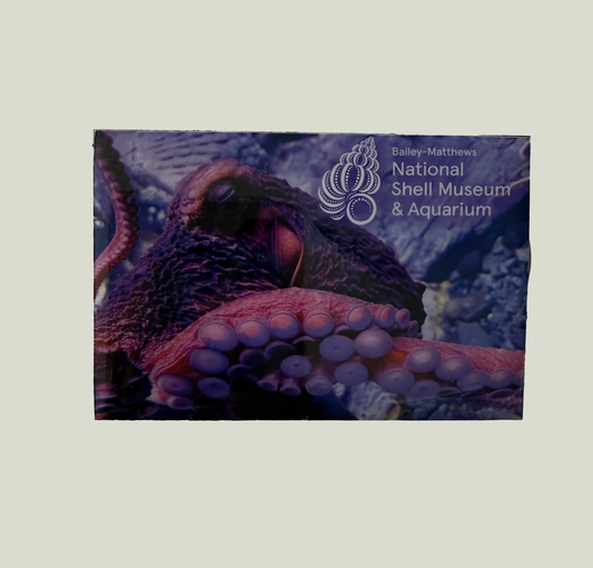 Giant Pacific Octopus Magnet