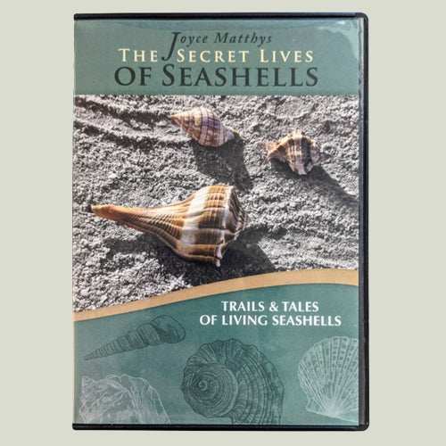The Secret Lives of Seashells: Trails & Tales of Living Seashells DVD