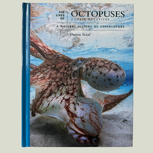 The Lives of Octopuses and Their Relatives: A Natural History of Cephalopods