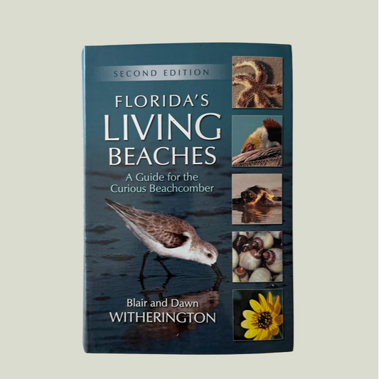 Florida's Living Beaches