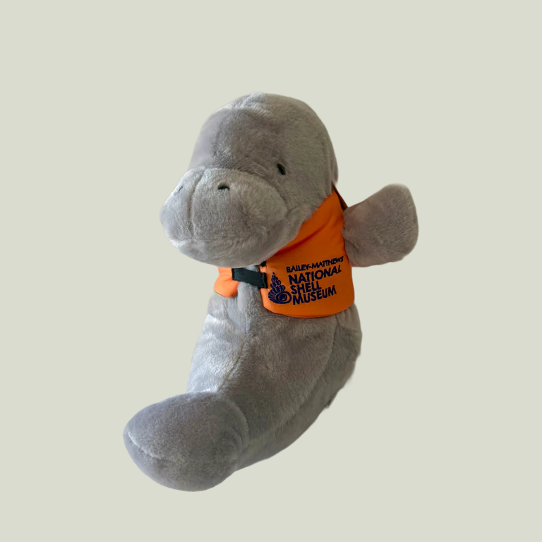Manatee in Life Jacket