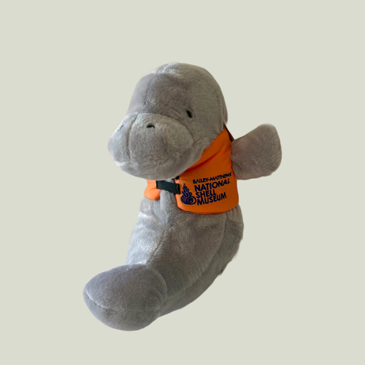 Manatee in Life Jacket