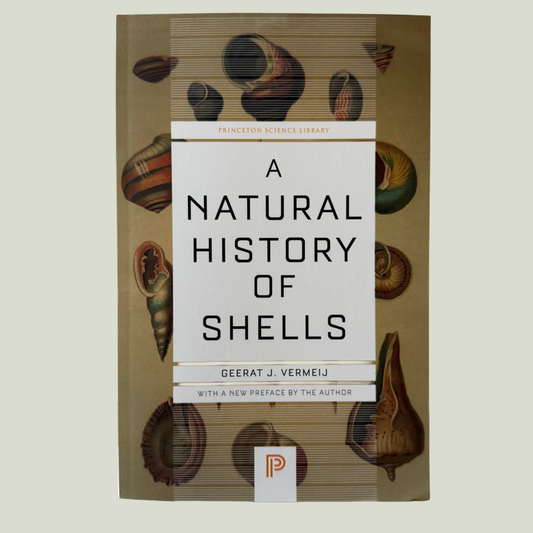 A Natural History of Shells