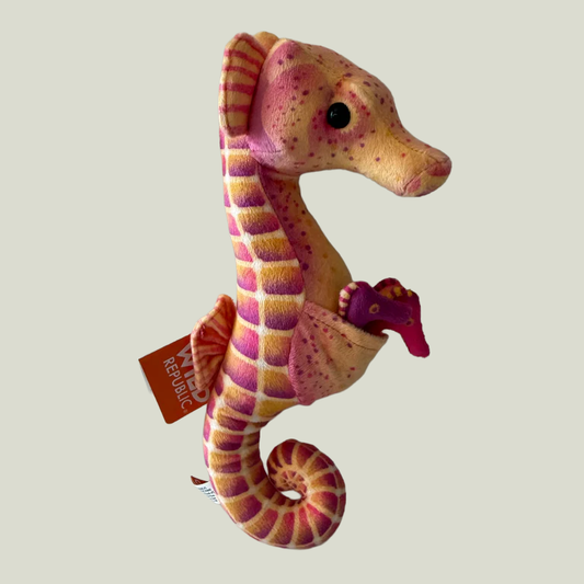 Seahorse Dad with Babies
