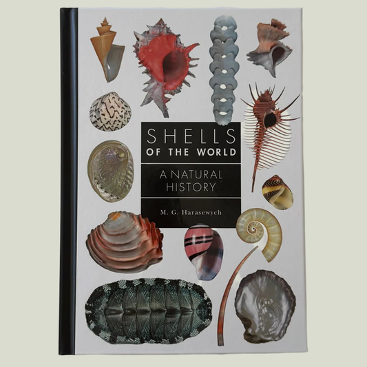 Shells of the World: A Natural History