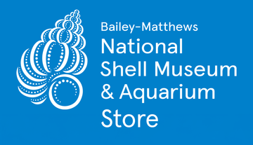Bailey-Matthews National Shell Museum & Aquarium