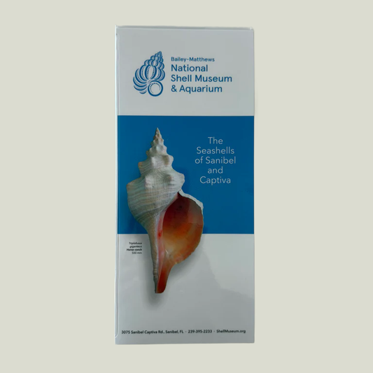 Vessel Shell Guide Books & Media – Bailey-Matthews National Shell Museum & Aquarium