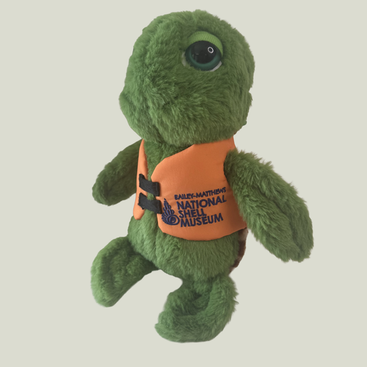 Turtle in Life Jacket